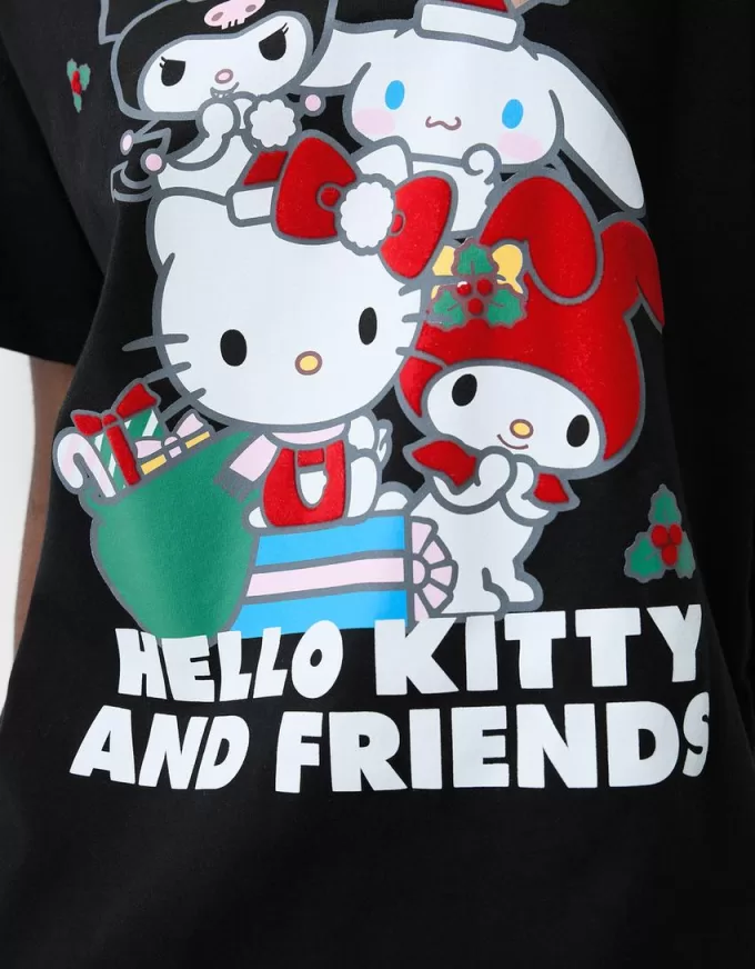 Hello Kitty and Friends kortärmad T-shirt
